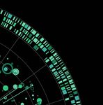 COVID-19 BCG Perspectives - Facts, scenarios, and actions for leaders