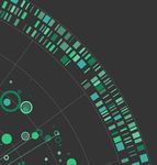 COVID-19 BCG Perspectives - Facts, scenarios, and actions for leaders