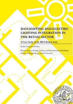 DAYLIGHTING AND ELECTRIC LIGHTING INTEGRATION IN THE RETAIL SECTOR