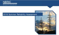 2018 Summer Reliability Assessment - NERC