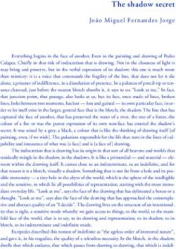 The shadow secret João Miguel Fernandes Jorge - Pedro Calapez