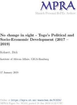 No change in sight - Togo's Political and Socio-Economic Development (2017 - 2019) - Munich ...