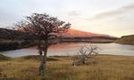 Argentina: People, Environment, and Climate Change in Patagonia and Antarctica Fall 2020 - SIT Study Abroad