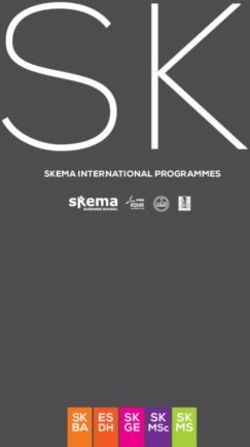 Skema international programmeS Sk
