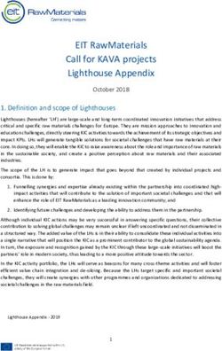 EIT RawMaterials Call for KAVA projects Lighthouse Appendix - EIT Raw Materials