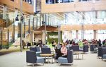DISTANCE LEARNING PROSPECTUS 2019 - University of Otago