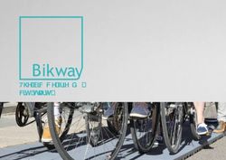 The bicycle-friendly city starts now - EIB Institute