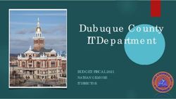 Dubuque County IT Department - BUDGET: FISCAL 2021 NATHAN GILMORE IT DIRECTOR