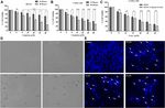 Phenethyl Isothiocyanate Induces Apoptosis Through ROS Generation and Caspase-3 Activation in Cervical Cancer Cells