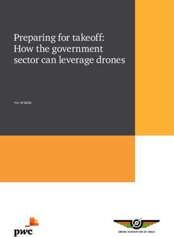 PREPARING FOR TAKEOFF: HOW THE GOVERNMENT SECTOR CAN LEVERAGE DRONES - JANUARY 2020 - PWC
