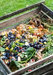 Summary Report - Aotearoa (NZ) Food Systems SUMMIT Independent - Food Systems Summit Dialogues