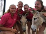 Hello dearest donkey friends of our Donkey Sanctuary Bonaire
