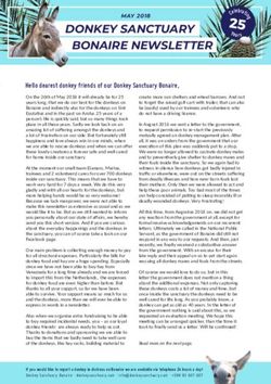 Hello dearest donkey friends of our Donkey Sanctuary Bonaire