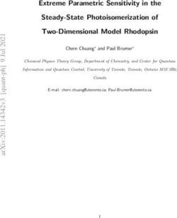 Extreme Parametric Sensitivity in the Steady-State Photoisomerization of Two-Dimensional Model Rhodopsin - arXiv