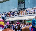 2020 Yearling Sale Series - NOMINATIONS CLOSE FRIDAY 9 AUGUST 2019 - Magic Millions