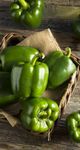 Market trends For week ending April 23, 2021 - Performance Foodservice