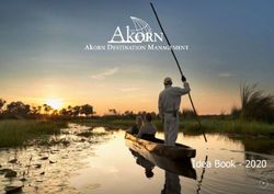 Idea Book 2020 - Akorn Destination Management