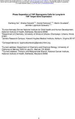 Phase Separation of YAP Reprograms Cells for Long-term YAP Target Gene Expression - bioRxiv