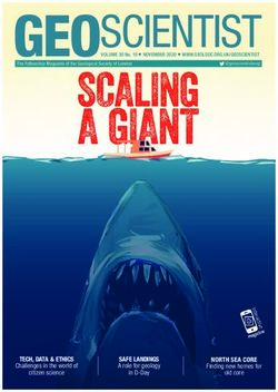 GEOSCIENTIST - TECH, DATA & ETHICS SAFE LANDINGS A role for geology