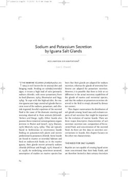 Sodium and Potassium Secretion by Iguana Salt Glands