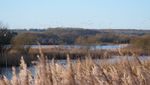 PALUDAL PLAYSCAPES Wetlands as heterotopic ludic spaces