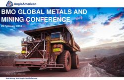 BMO GLOBAL METALS AND MINING CONFERENCE - 26 February 2018 - Anglo American