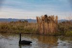 Investigation of a Recreation Monitoring Programme for Lake Ellesmere / Te Waihora - LEAP Report - Waterways ...