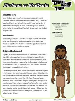 Birdman or Birdbrain About the Show