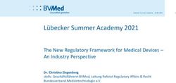 Lübecker Summer Academy 2021 - The New Regulatory Framework for Medical Devices - An Industry Perspective - IHK Schleswig-Holstein