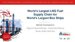 World's Largest LNG Fuel Supply Chain for World's Largest Box Ships - Martial Claudepierre - GTI Energy