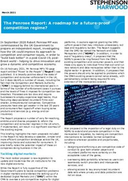 The Penrose Report: A roadmap for a future-proof competition regime?