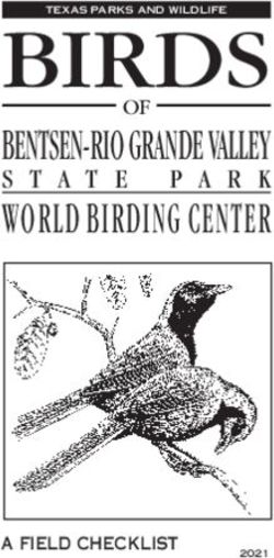 BIRDS BENTSEN-RIO GRANDE VALLEY STATE PARK - OF