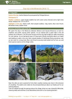Day trip in the Minervois (34 & 11) - Birding Languedoc