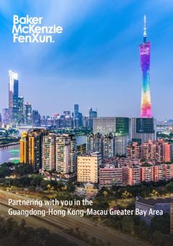 PARTNERING WITH YOU IN THE GUANGDONG-HONG KONG-MACAU GREATER BAY AREA - BAKER MCKENZIE