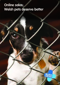 Online sales: Welsh pets deserve better - Blue Cross