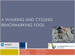 A WALKING AND CYCLING BENCHMARKING TOOL - Tim Hughes Martin Wedderburn Tim Cheesebrough