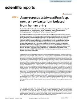 Anaerococcus urinimassiliensis sp. nov., a new bacterium isolated from human urine - Nature
