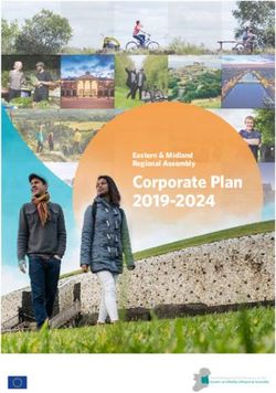 Corporate Plan 2019-2024 - Eastern & Midland Regional Assembly - European Commission