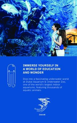 IMMERSE YOURSELF IN A WORLD OF EDUCATION AND WONDER - Dive into a fascinating underwater world at Dubai Aquarium & Underwater Zoo, one of the ...