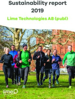 Sustainability report 2019 - Lime Technologies AB (publ)