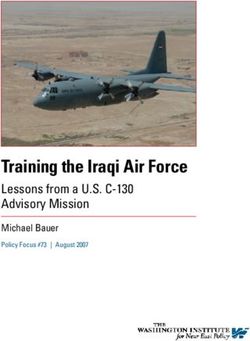 Training the Iraqi Air Force - Lessons from a U.S. C-130 Advisory Mission Michael Bauer