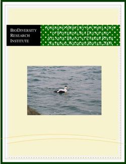 BIODIVERSITY RESEARCH INSTITUTE NATIONAL WILDLIFE REFUGE 2009 ATLANTIC BRANT AT PARKER RIVER - ASSESSING MERCURY ACCUMULATION IN WINTERING SEA ...
