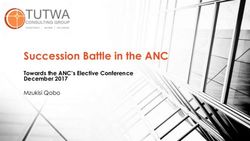 Succession Battle in the ANC - Towards the ANC's Elective Conference December 2017 - Tutwa Consulting