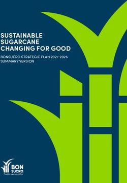SUSTAINABLE SUGARCANE CHANGING FOR GOOD - BONSUCRO STRATEGIC PLAN 2021 ...
