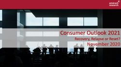 Consumer Outlook 2021 - November 2020 Recovery, Relapse or Reset? - IAPI