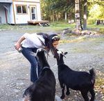 Animal Assisted Play Therapy: 2019 ALASKA - Level 2 Relationships & Applications - Rise van Fleet