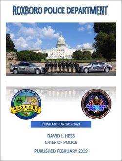 STRATEGIC PLAN 2019-2021 - City of Roxboro, NC