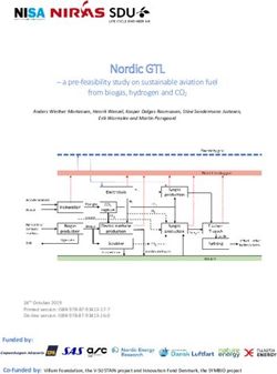 Nordic GTL - a pre-feasibility study on sustainable aviation fuel from biogas, hydrogen and CO2 - Nordic Energy Research