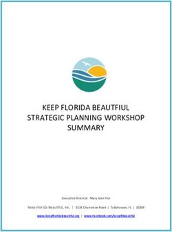 KEEP FLORIDA BEAUTFIUL STRATEGIC PLANNING WORKSHOP SUMMARY - Keep Florida Beautiful