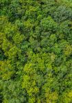 FEFAC SOY SOURCING GUIDELINES 2021